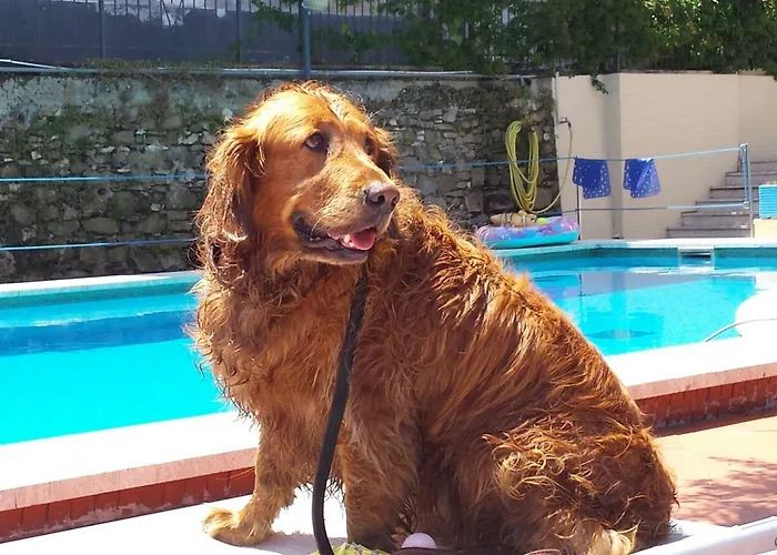 מלון Igea Mhotelsgroup 3*