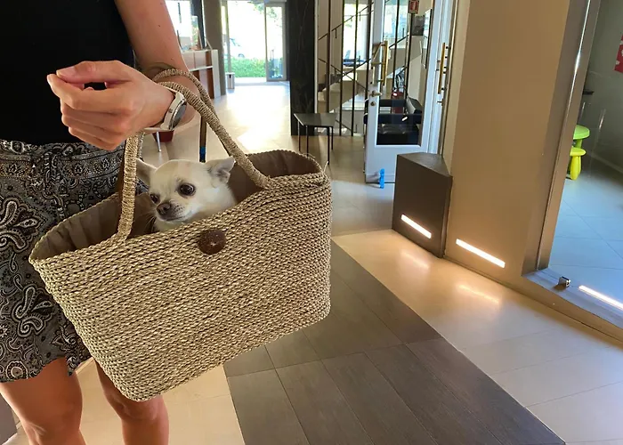 Igea Mhotelsgroup 3*