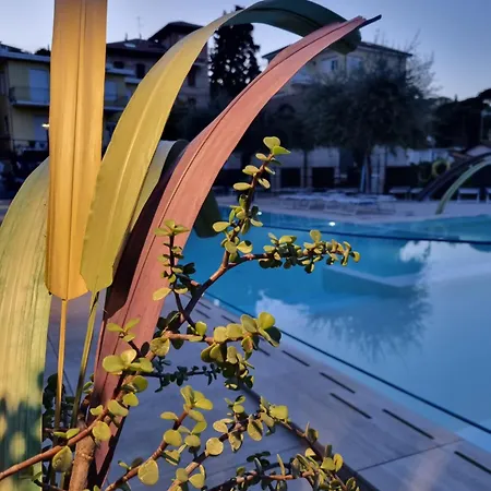 Igea Mhotelsgroup 3* Diano Marina