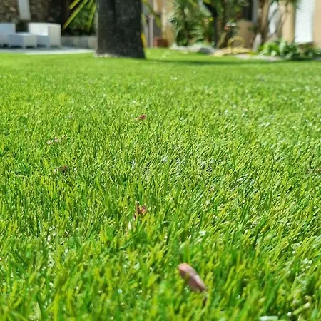 Igea 3* Diano Marina