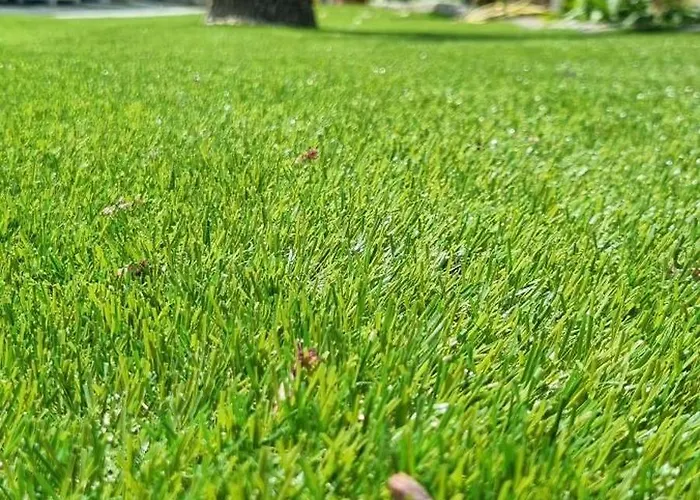 Igea Mhotelsgroup 3* Diano Marina