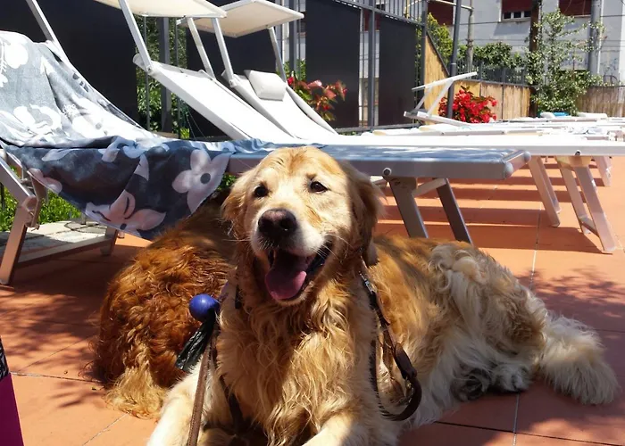 Hotel Igea Mhotelsgroup